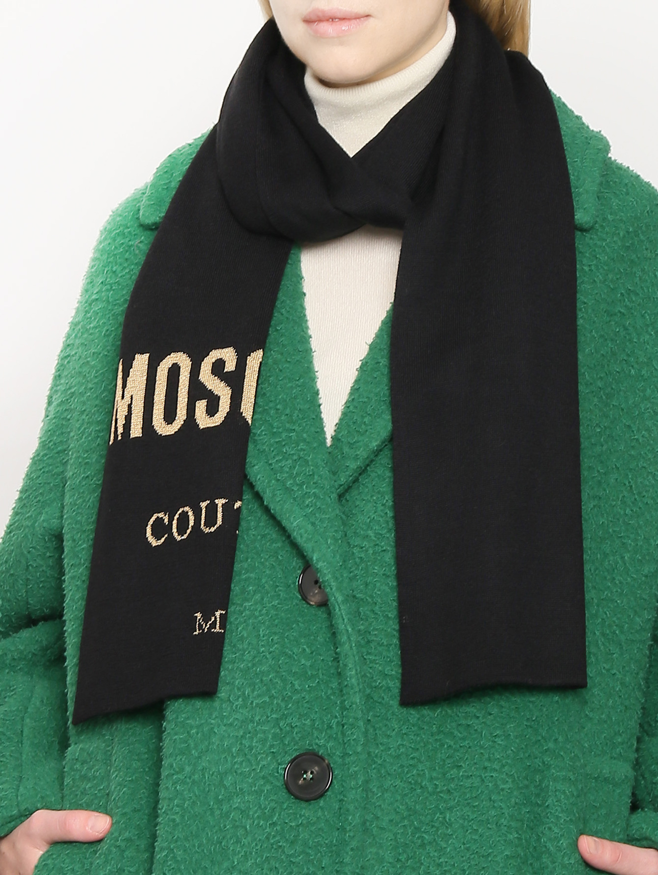 Модель Общий вид