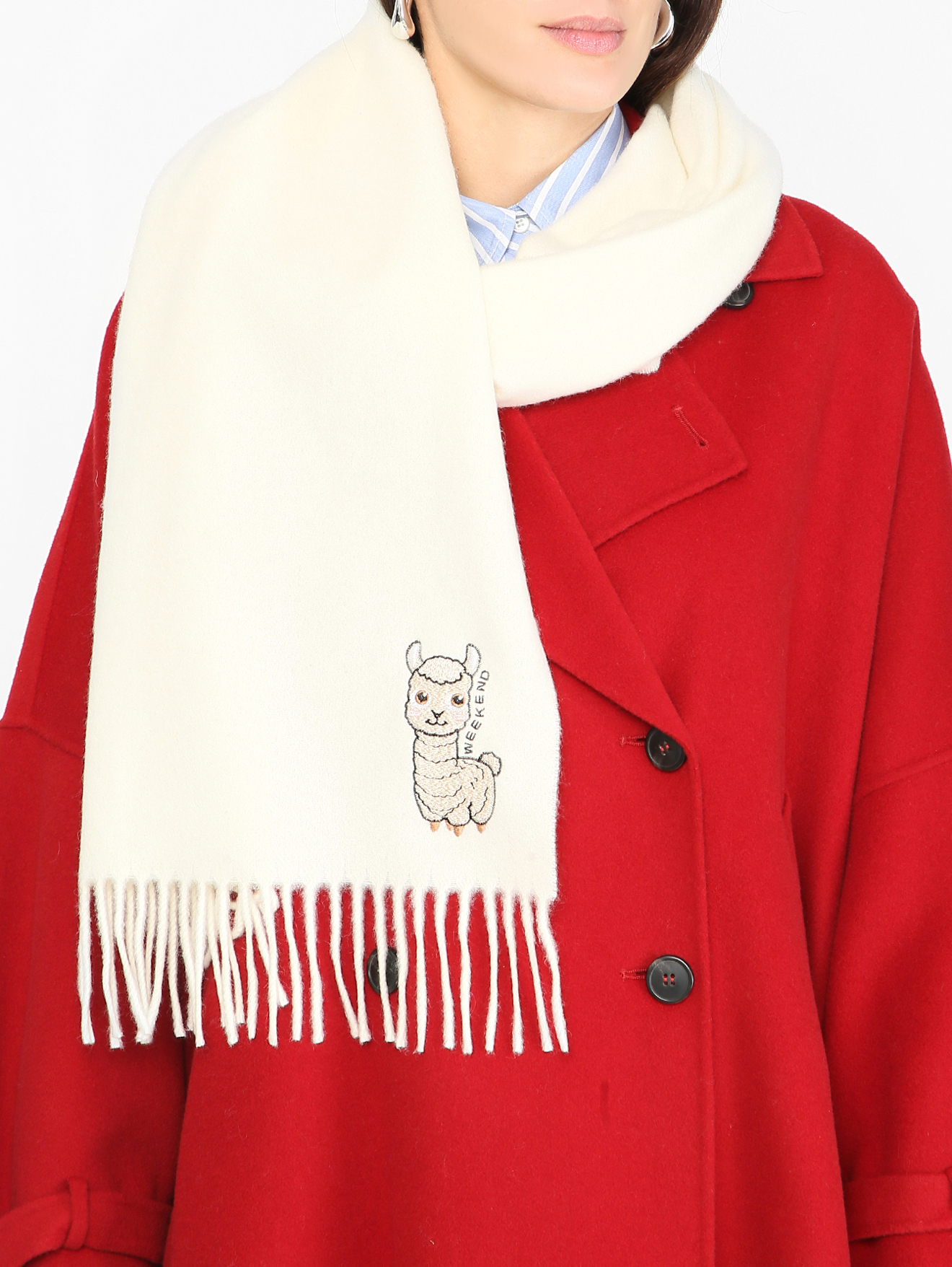 Модель Общий вид