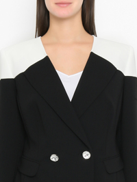 Модель Общий вид
