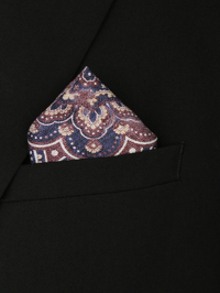 Модель Общий вид