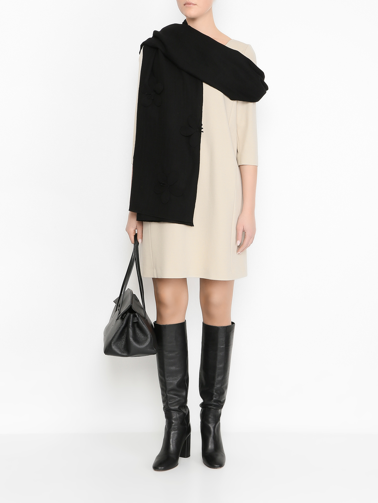 Модель Общий вид