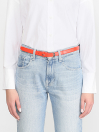 Модель Общий вид