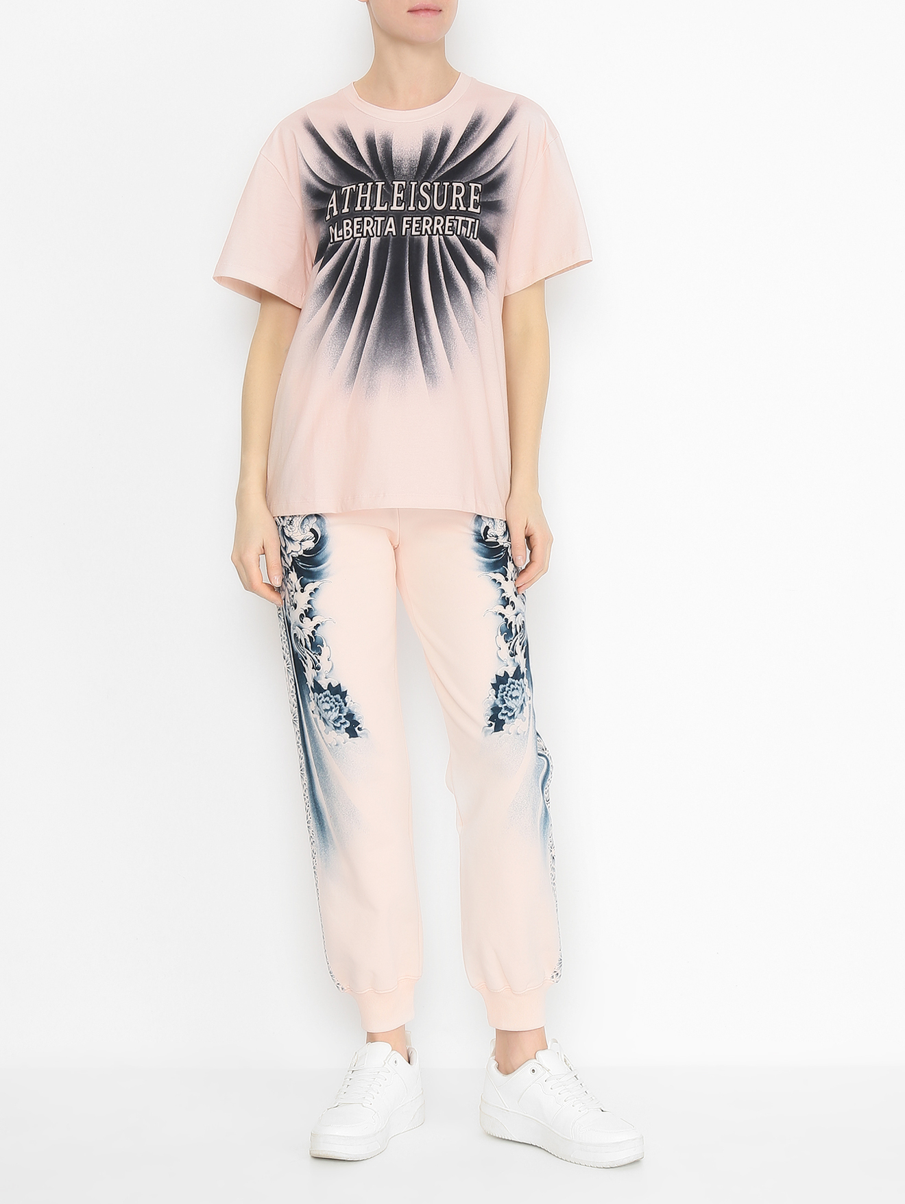 Модель Общий вид