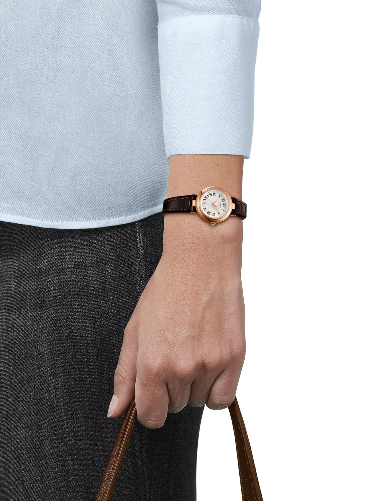 Модель Общий вид