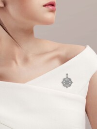 Модель Общий вид