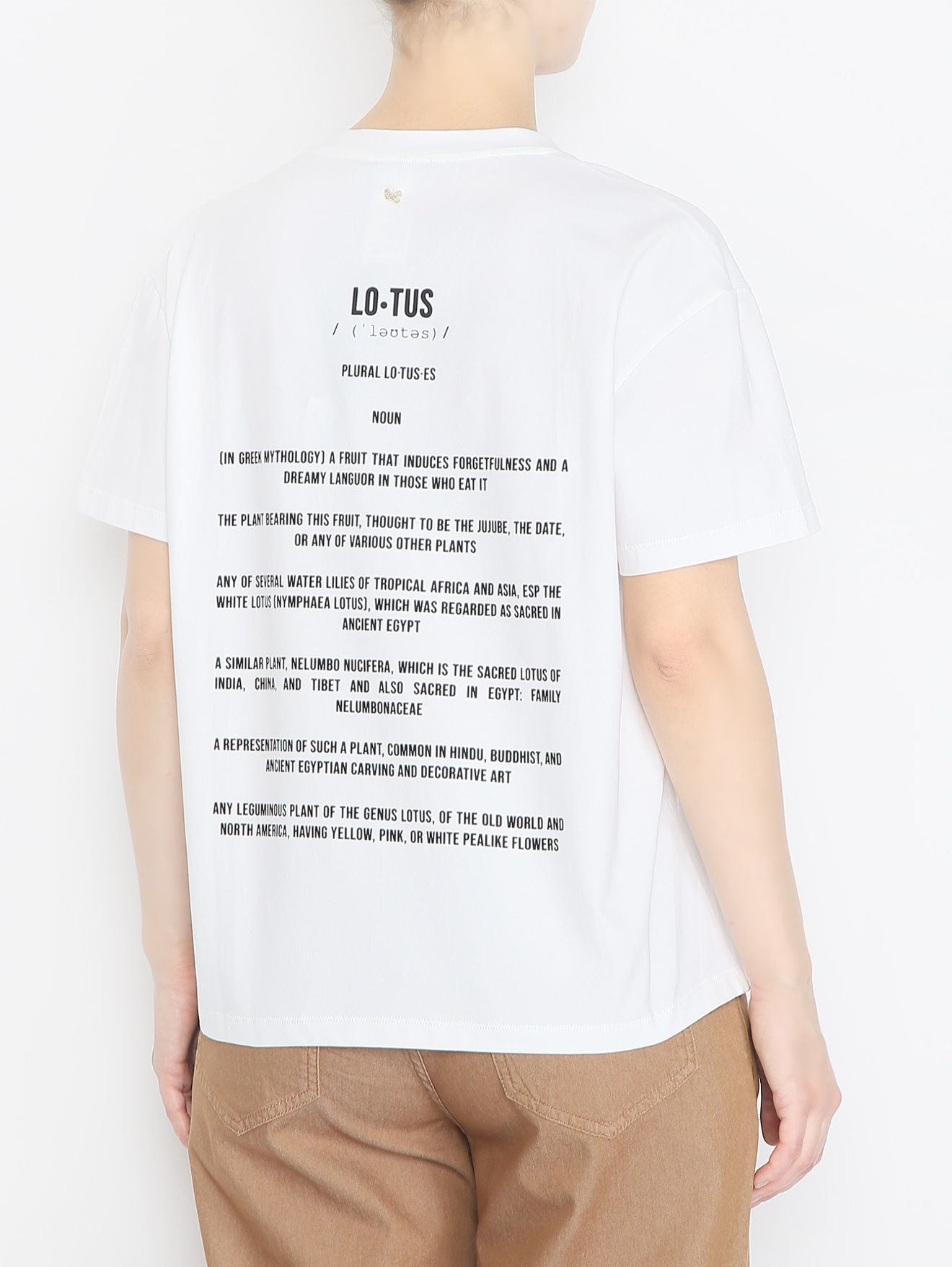 Модель Верх-Низ1
