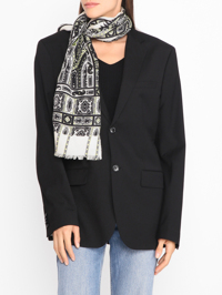 Модель Общий вид