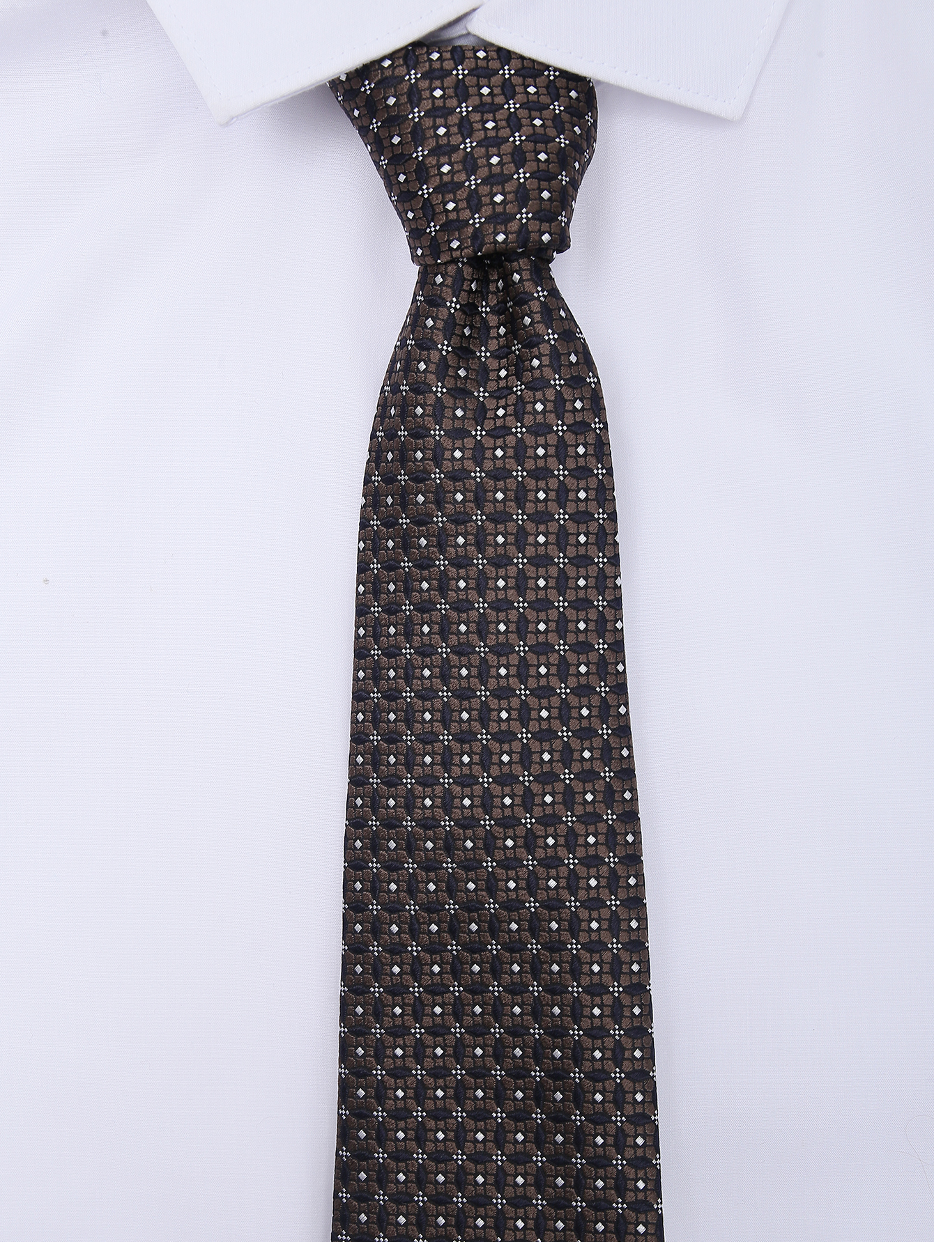 Модель Общий вид