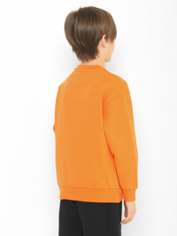 Модель Верх-Низ1