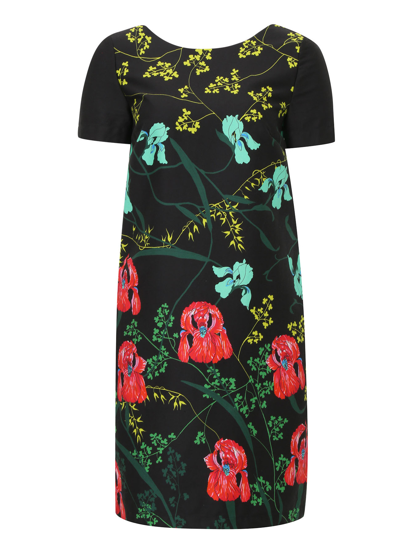 Обтравка