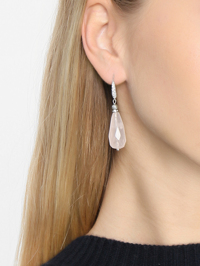 Модель Общий вид