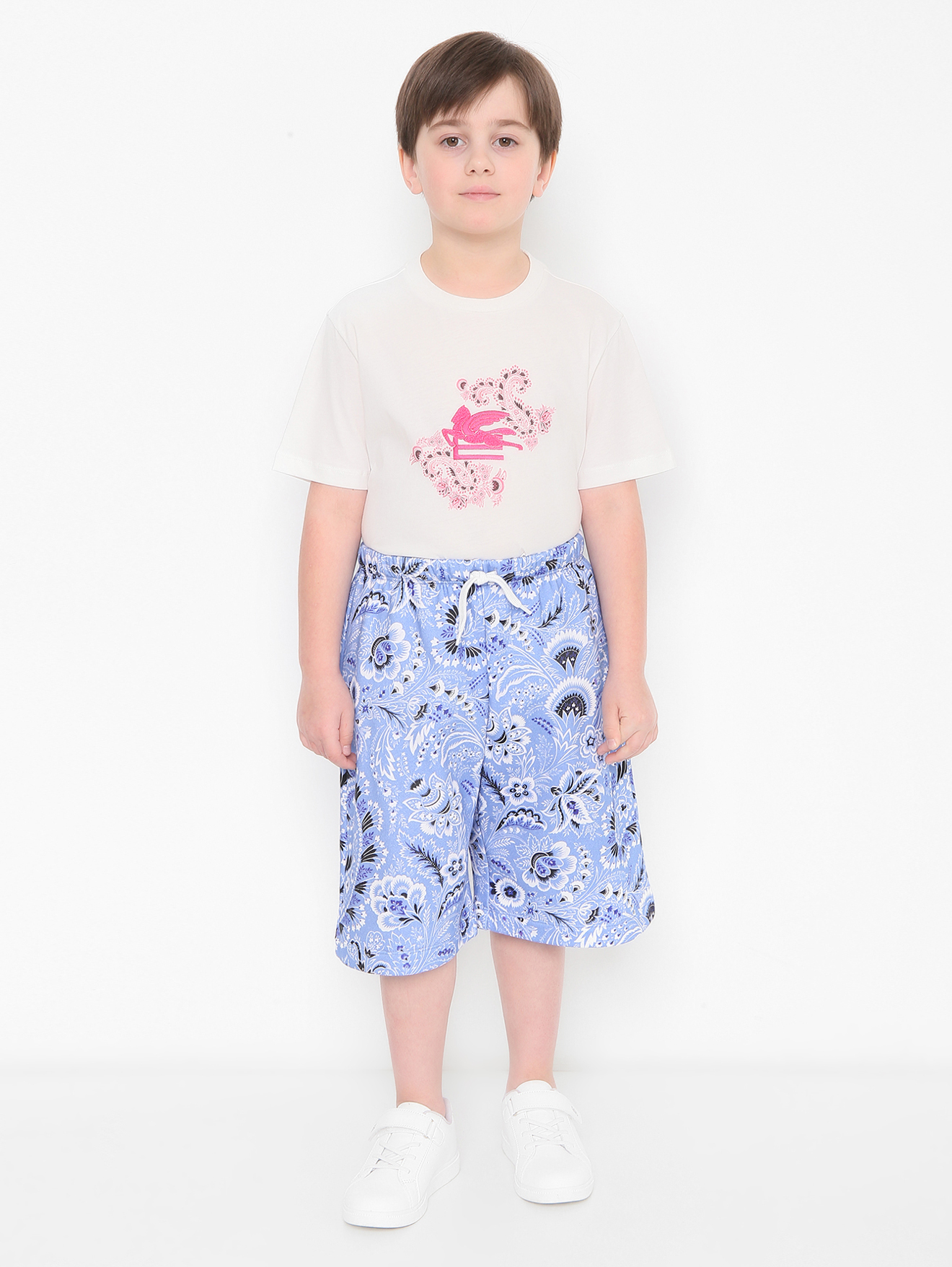 Модель Общий вид