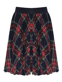 Aletta Couture Плиссированная юбка в клетку