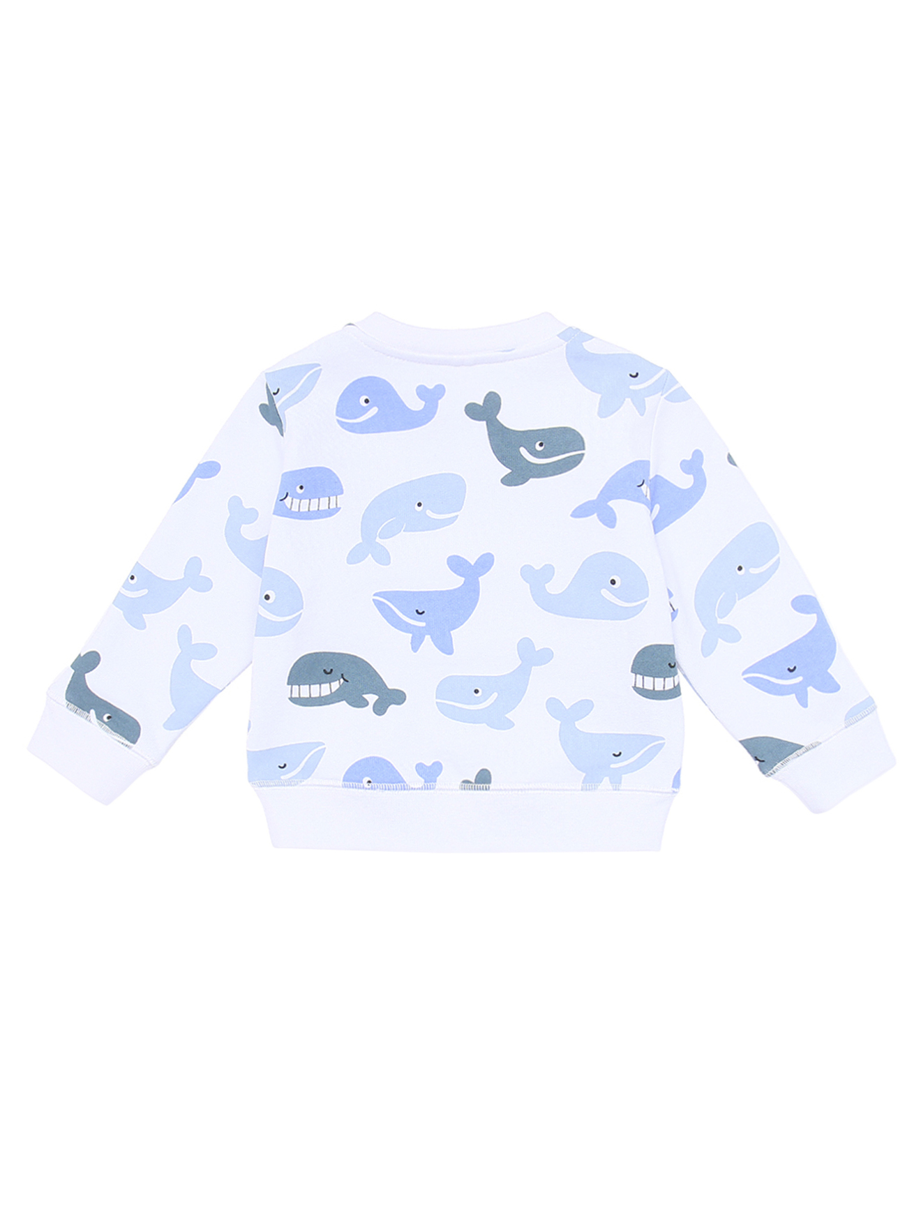Обтравка1