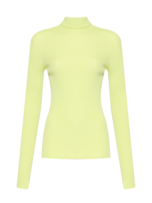 Sportmax Водолазка из шерсти в рубчик