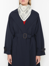 Модель Общий вид