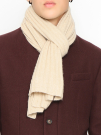 Модель Общий вид