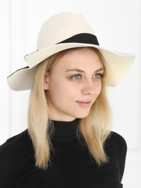 Модель Общий вид