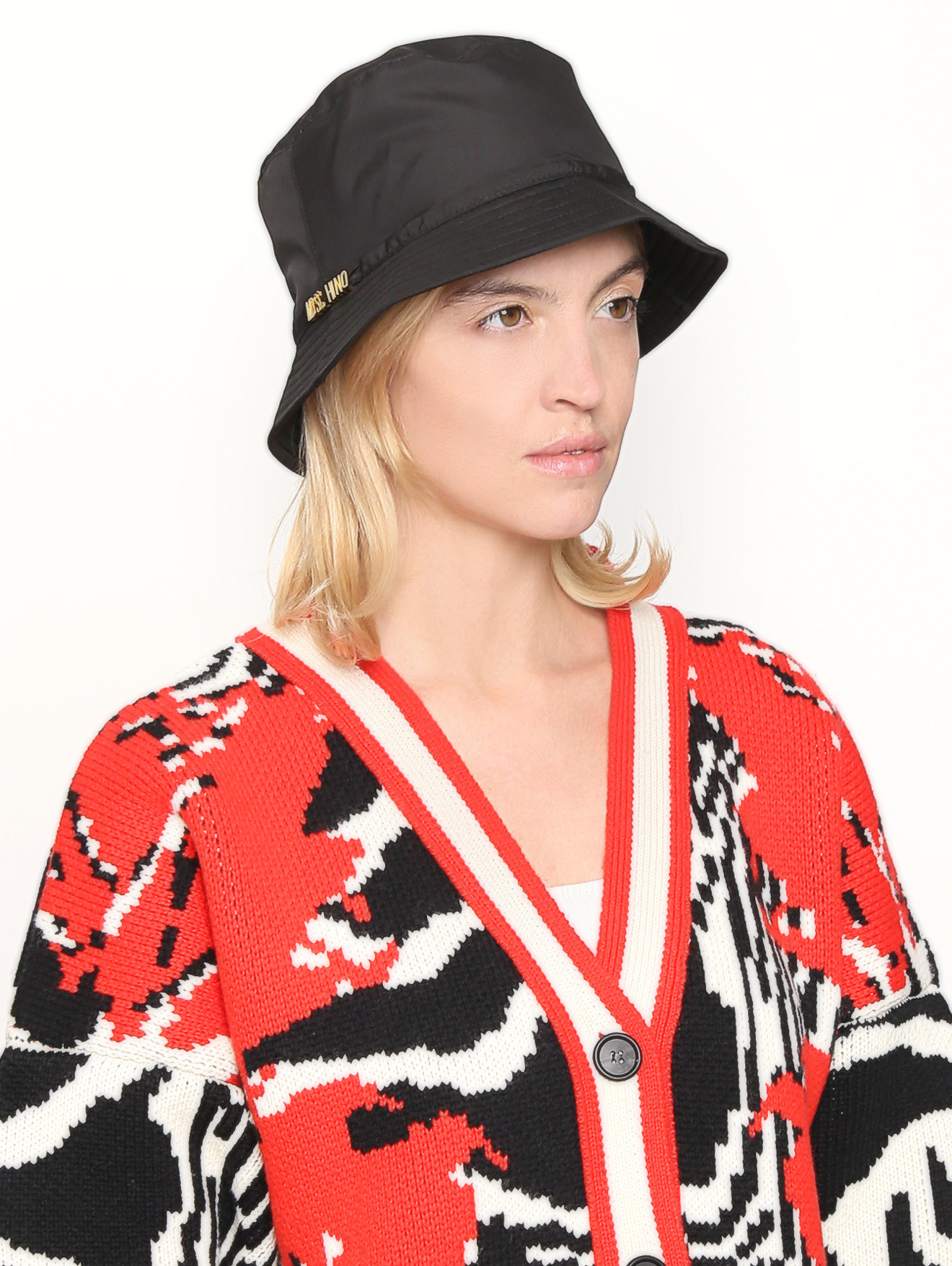 Модель Общий вид
