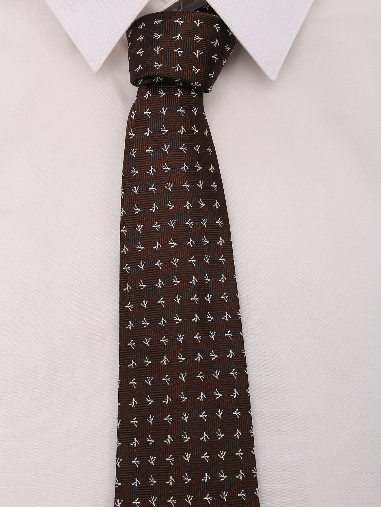 Модель Общий вид