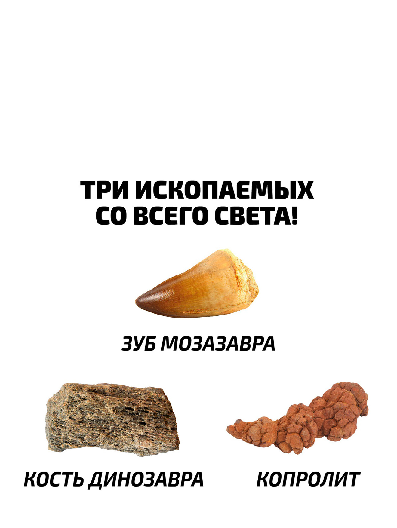 Обтравка1