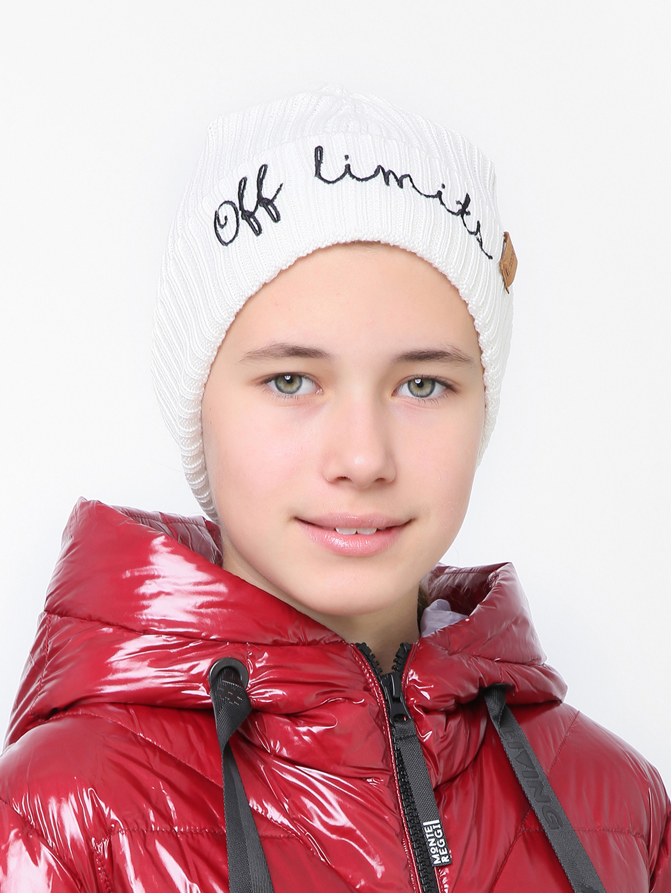 Модель Общий вид