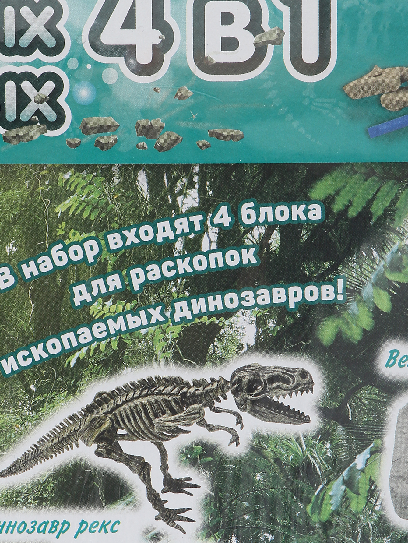 Обтравка2