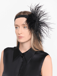 Модель Общий вид