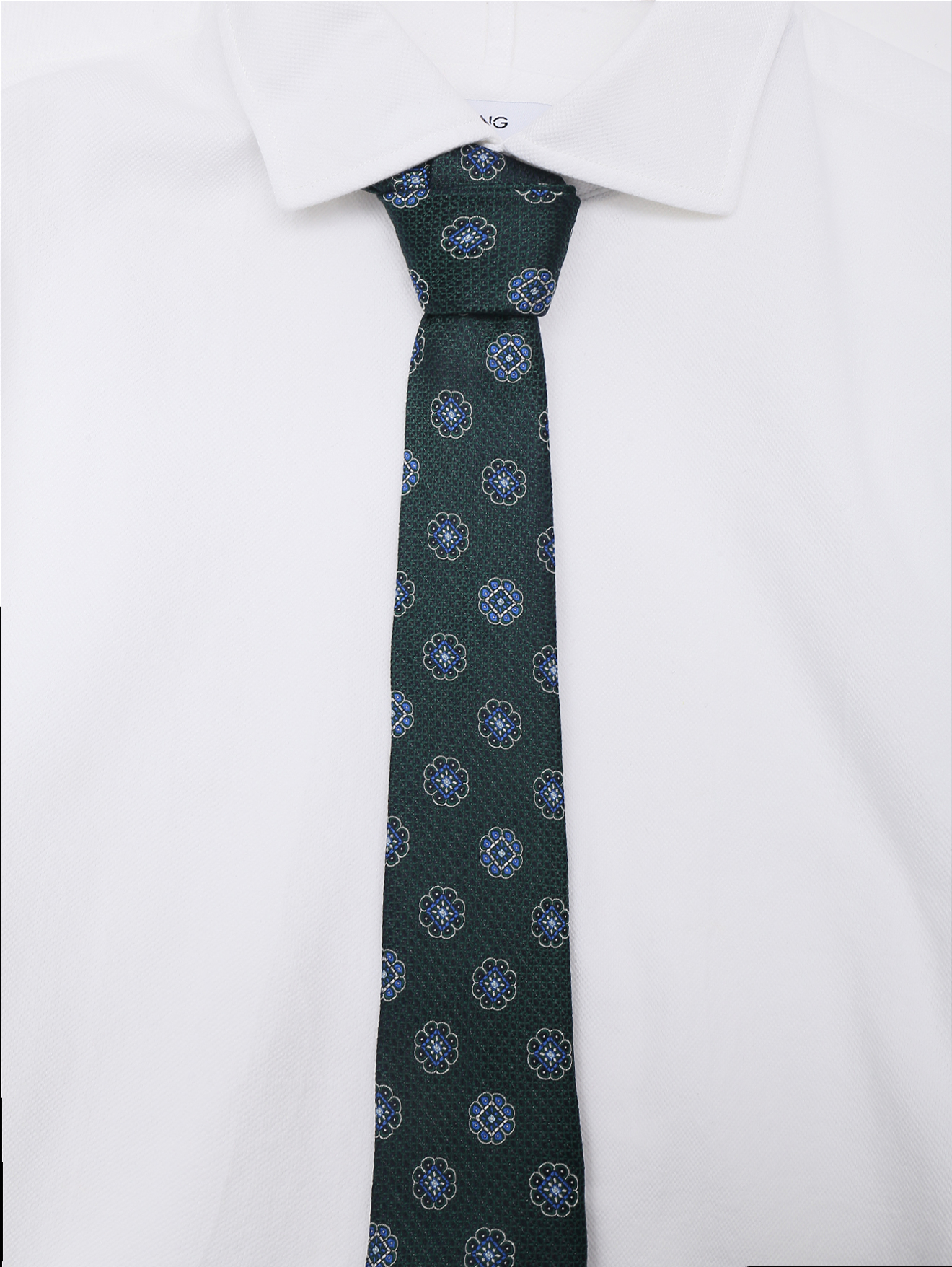 Модель Общий вид