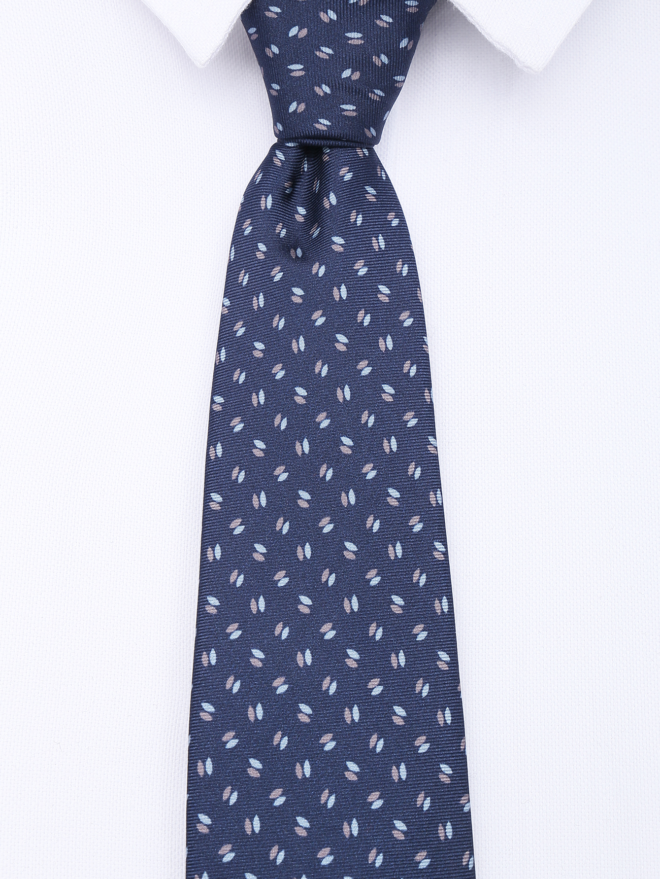 Модель Общий вид