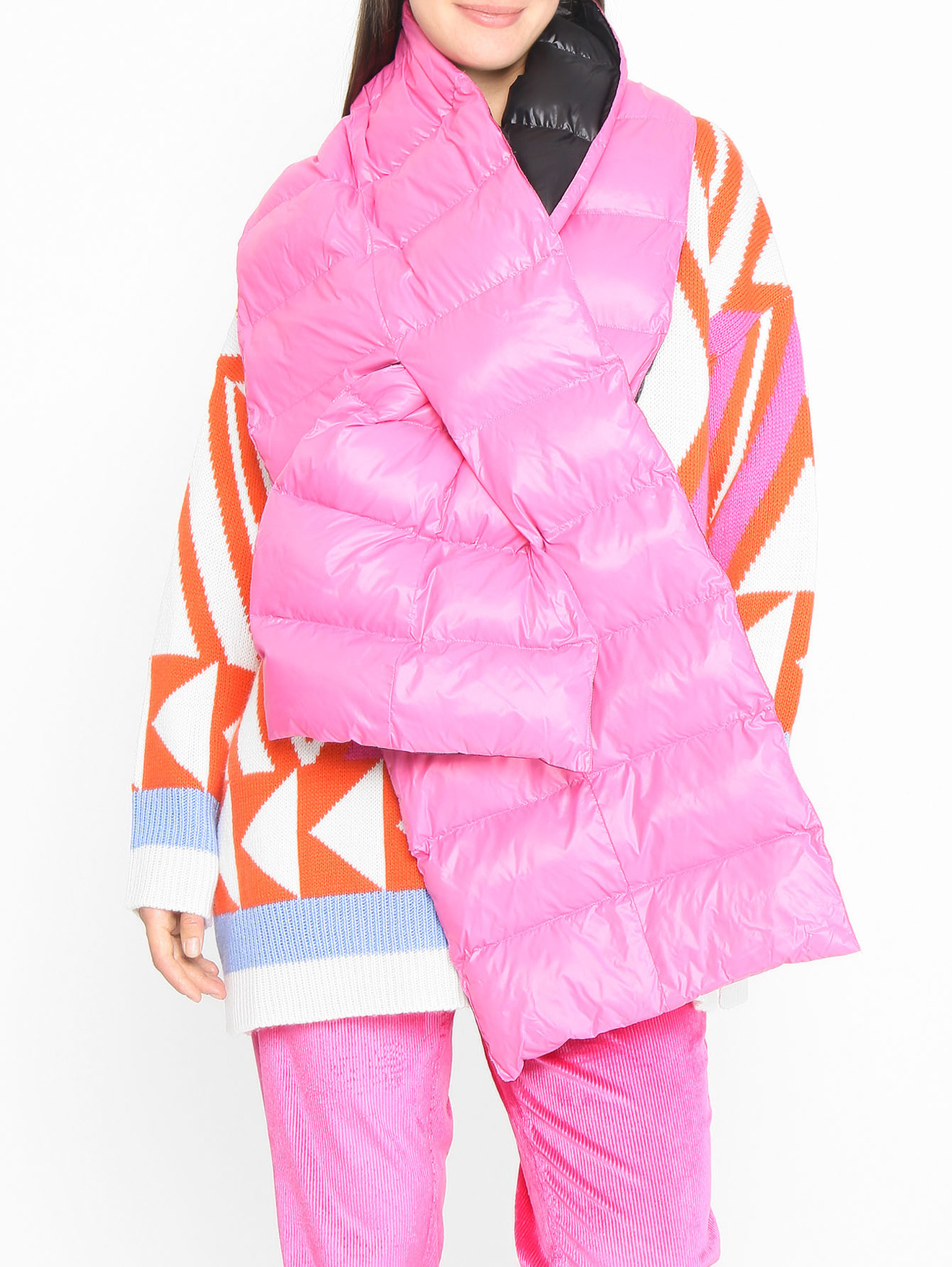 Модель Общий вид