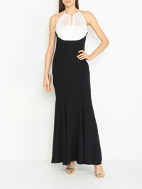 Модель Общий вид