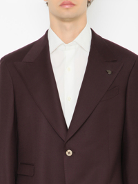 Модель Общий вид1