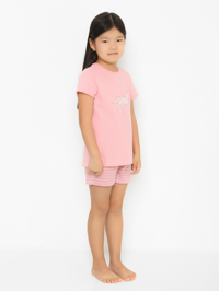 Модель Общий вид1