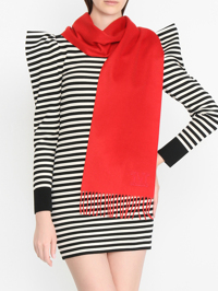 Модель Общий вид
