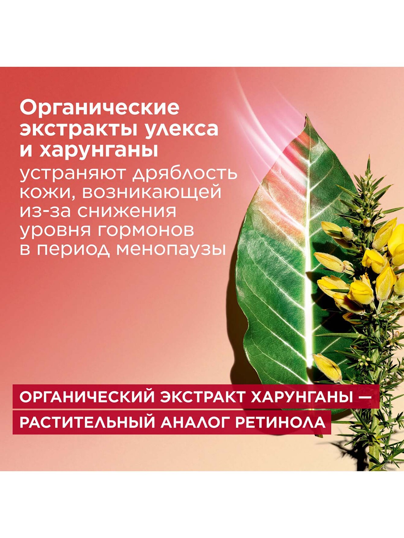 Обтравка4