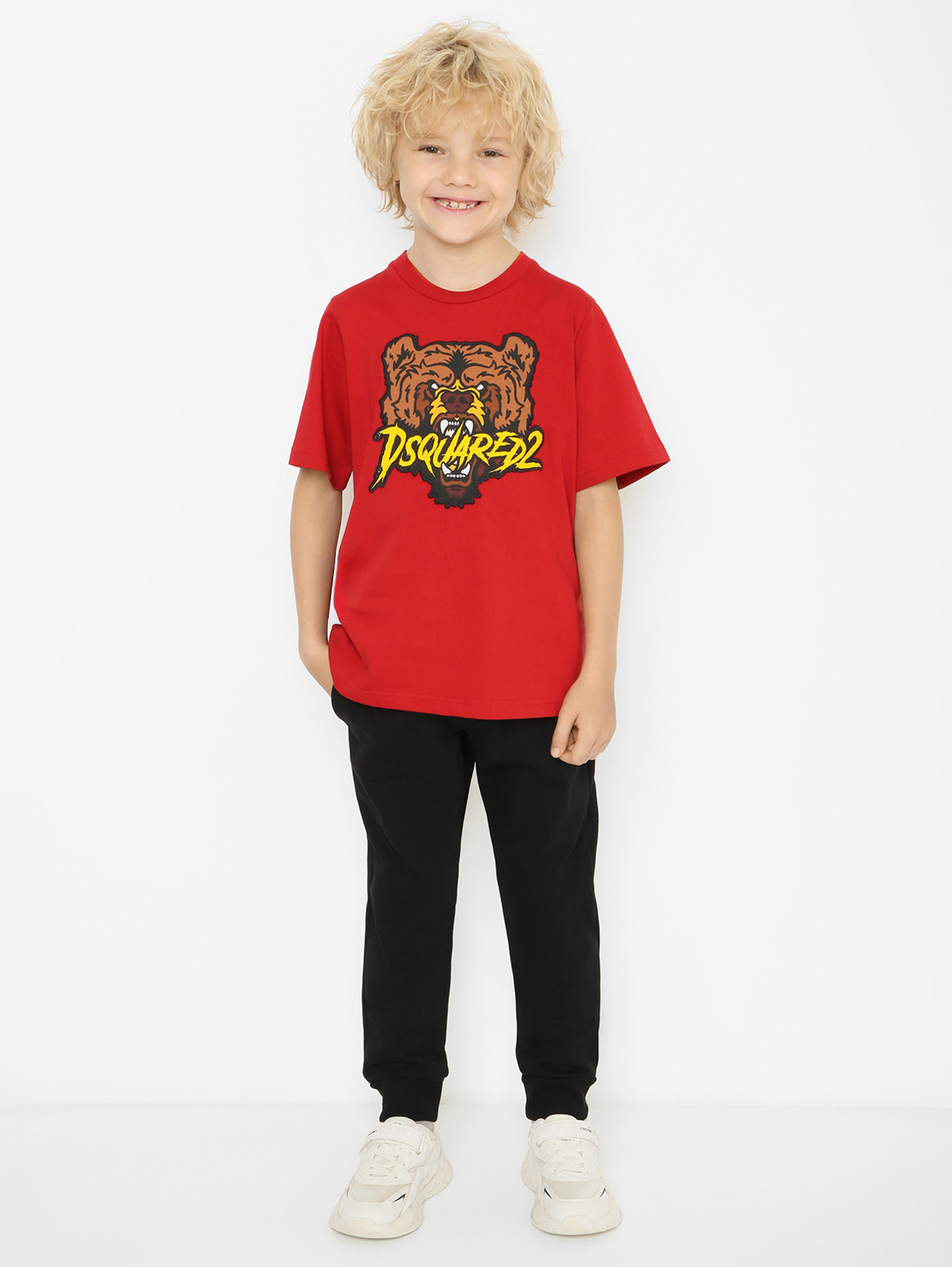 Модель Общий вид