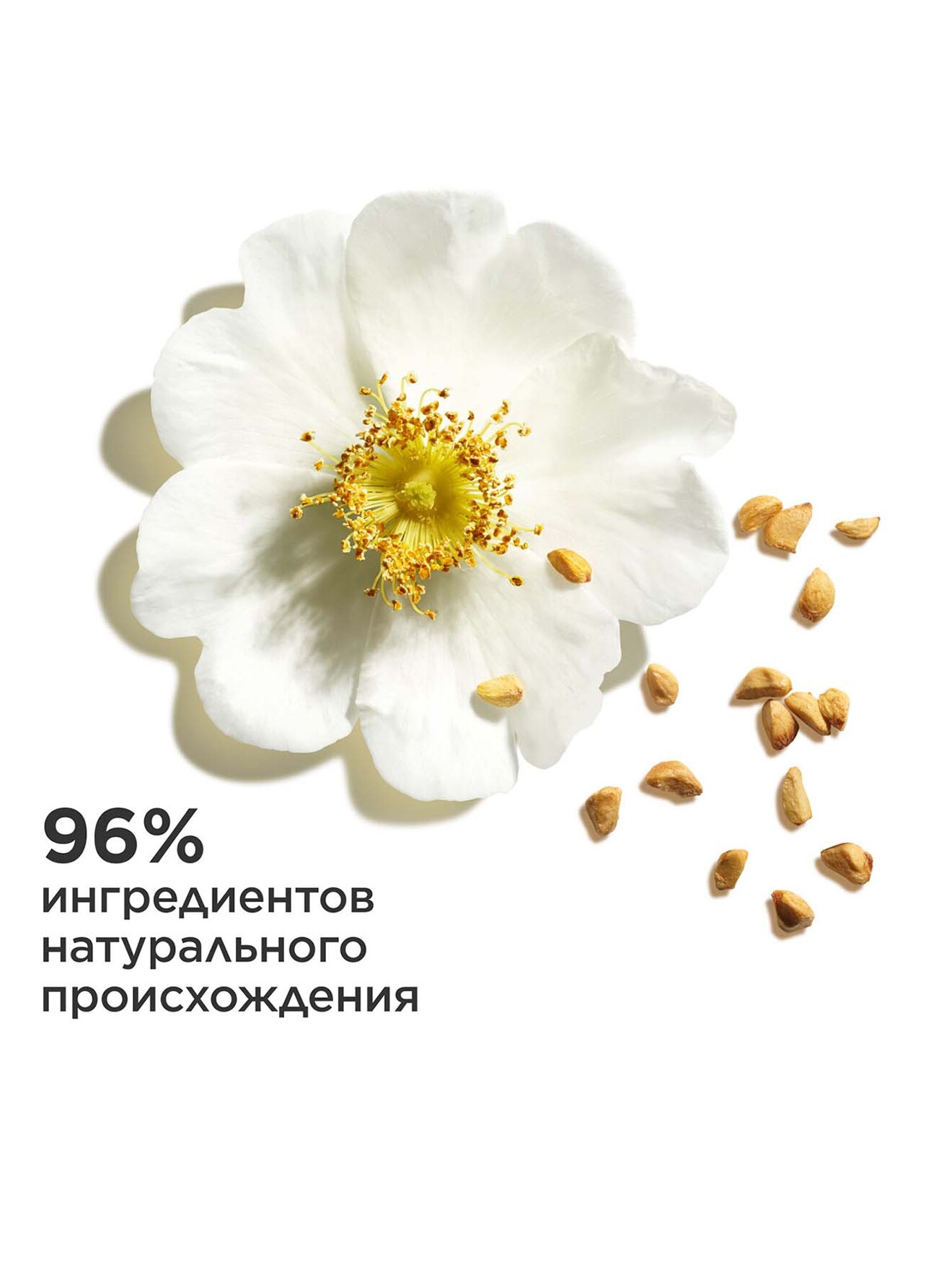 Обтравка2