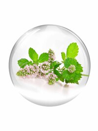 Обтравка5