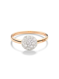 Модель Общий вид