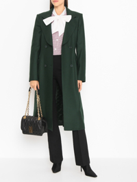 Модель Общий вид