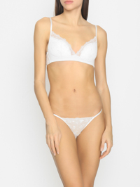 Модель Общий вид