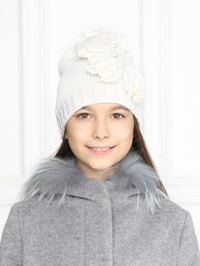 Модель Общий вид