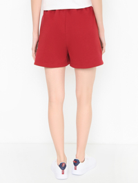 Модель Верх-Низ1