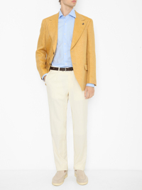 Модель Общий вид