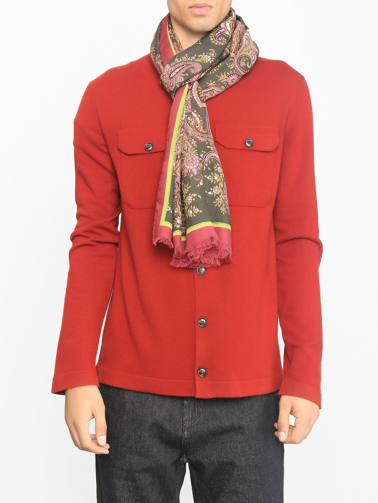 Модель Общий вид
