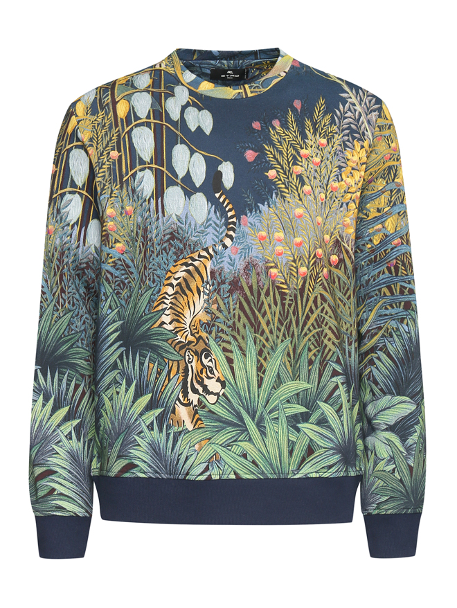 Etro Толстовка из хлопка с узором