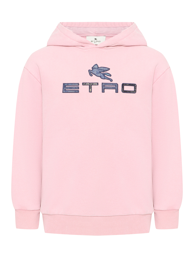 Etro Толстовка с капюшоном и логотипом