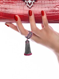 Модель Общий вид