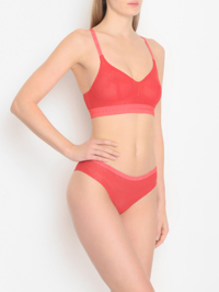 Модель Общий вид